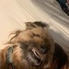 baileyaporter